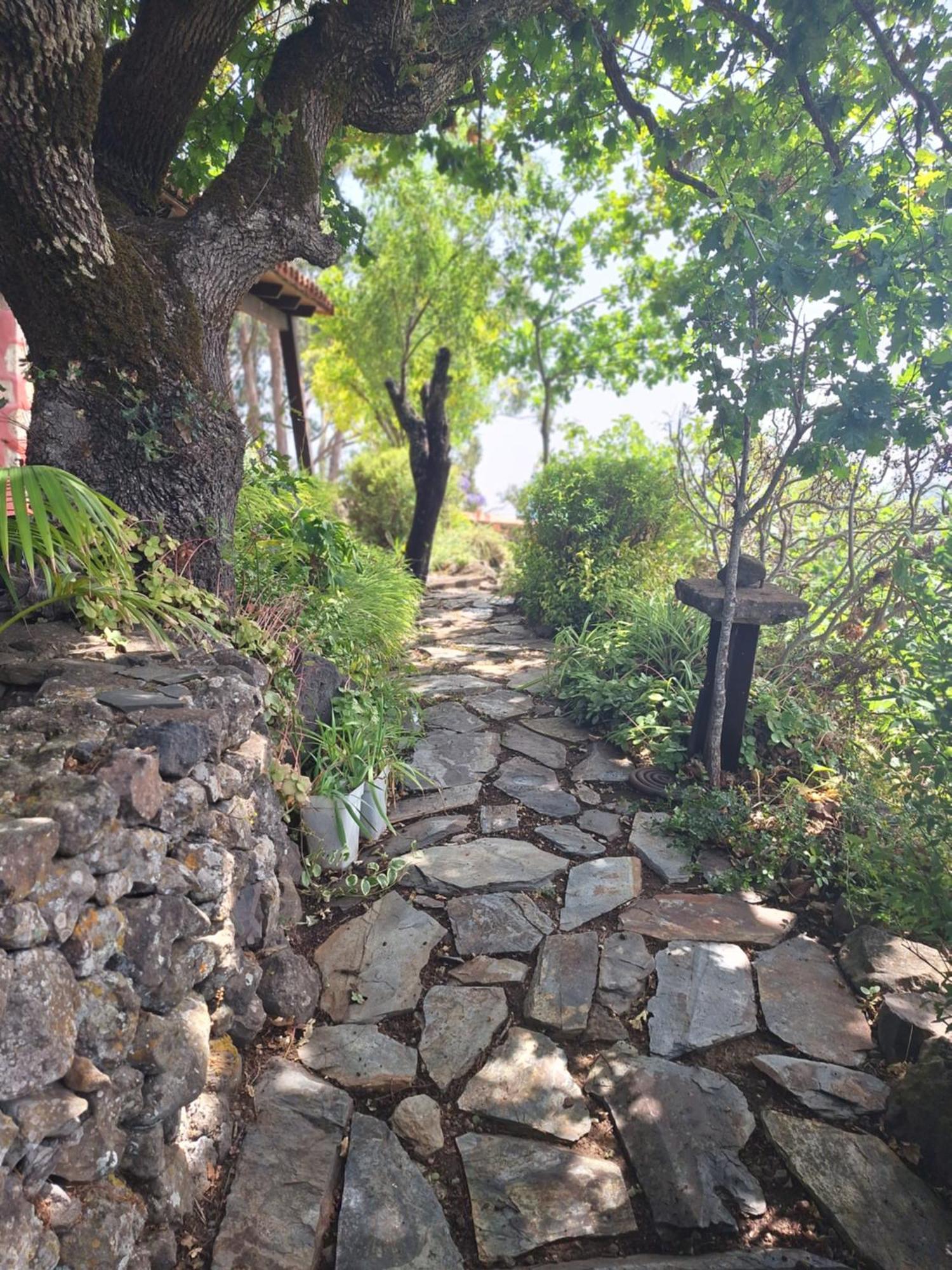 Casa Rural Con Piscina Privada El Roble Moya  Екстериор снимка
