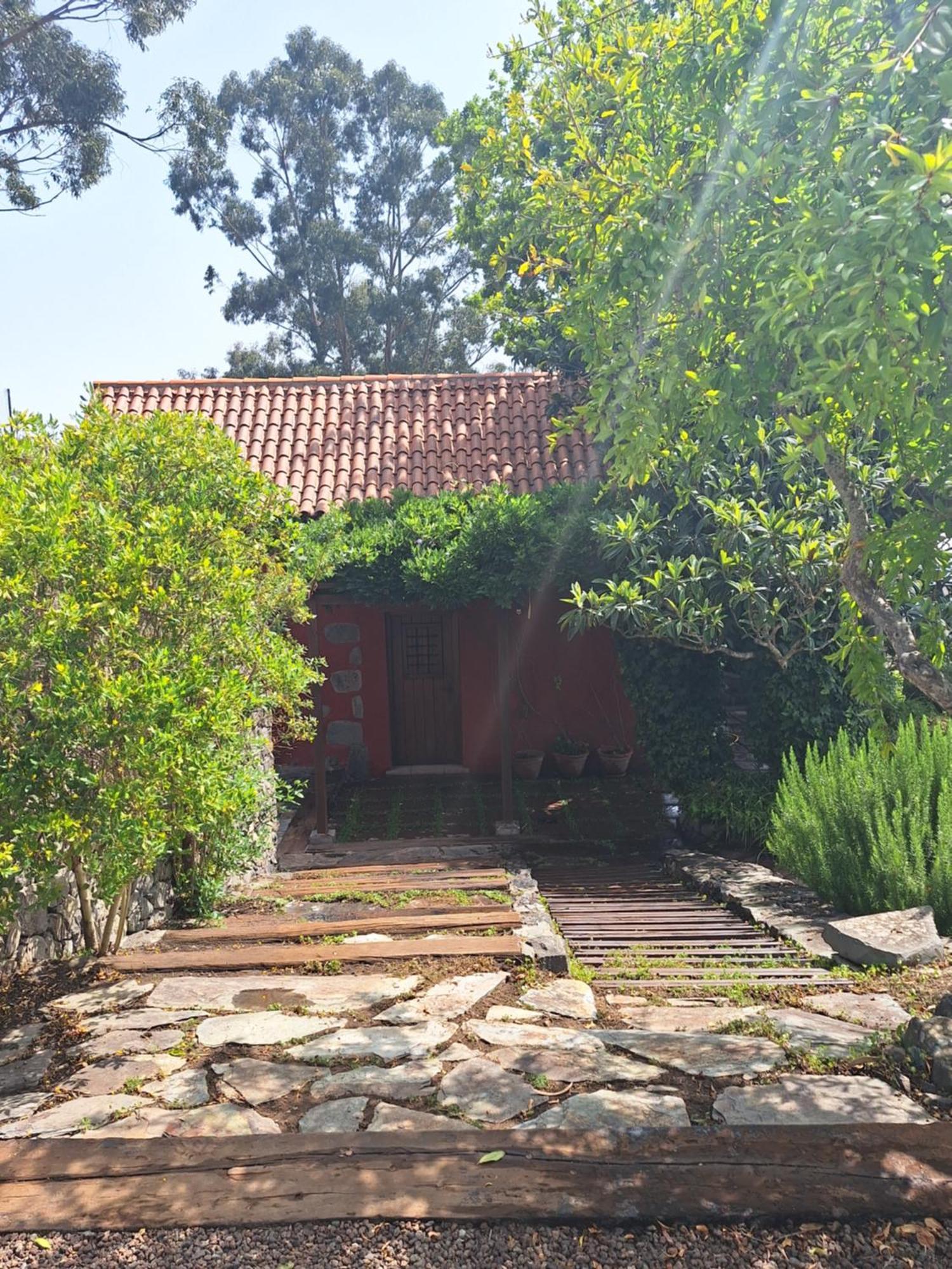 Casa Rural Con Piscina Privada El Roble Moya  Екстериор снимка