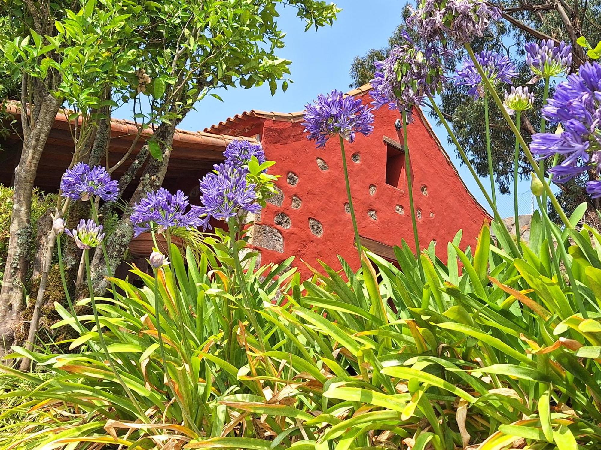 Casa Rural Con Piscina Privada El Roble Moya  Екстериор снимка