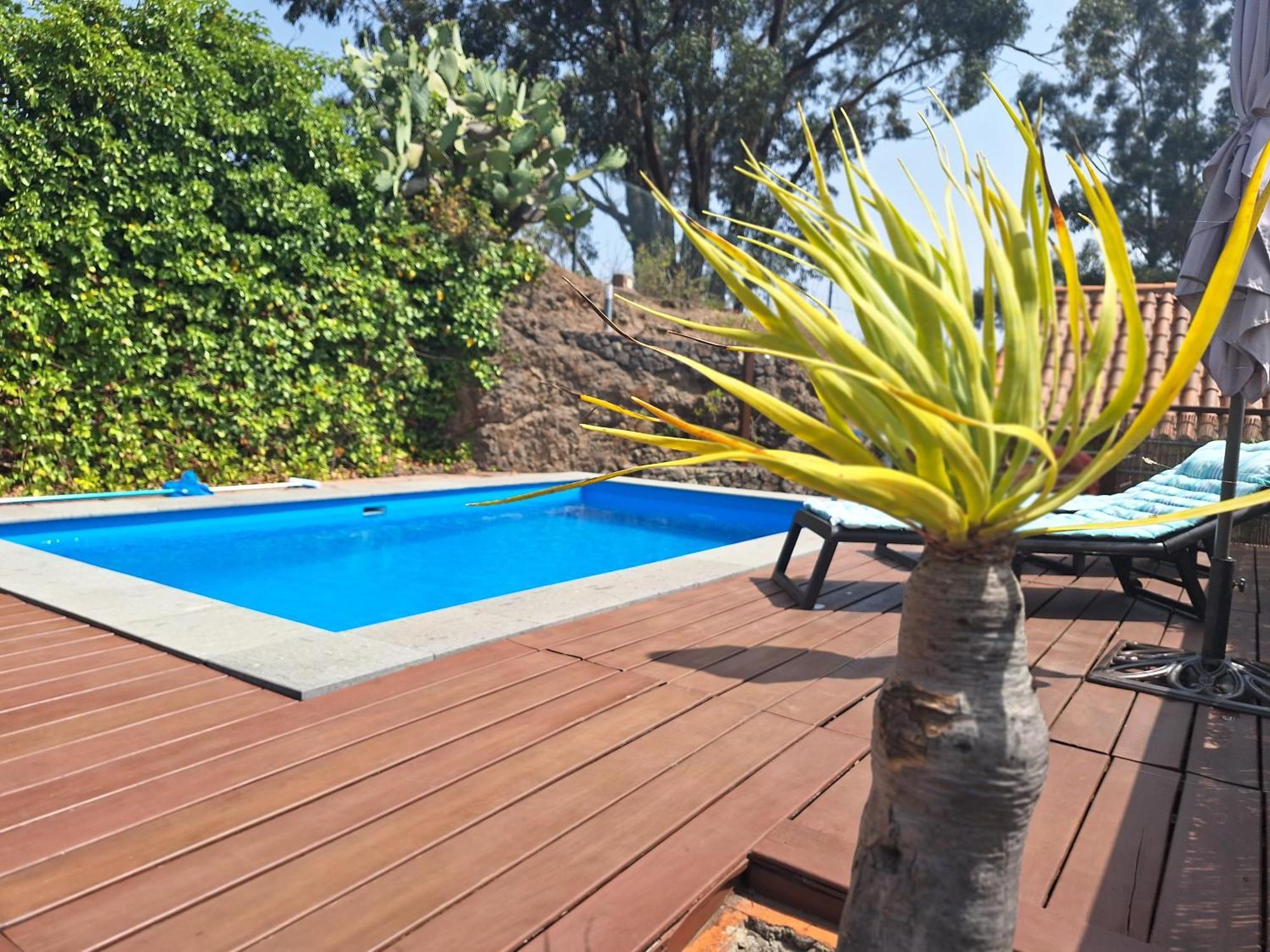 Casa Rural Con Piscina Privada El Roble Moya  Екстериор снимка