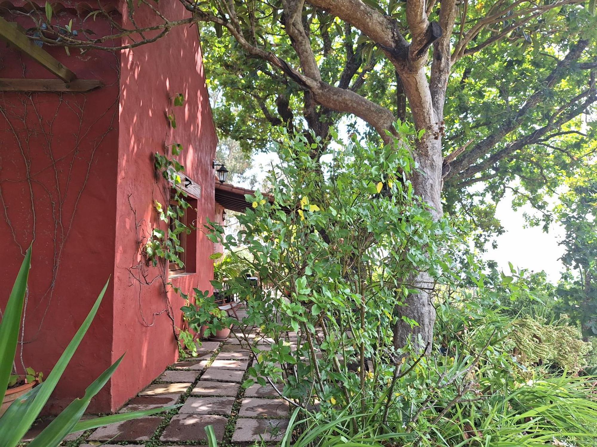 Casa Rural Con Piscina Privada El Roble Moya  Екстериор снимка